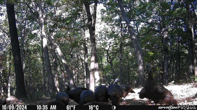 1483 Cedar Ridge Drive, Hermann, MO 65041