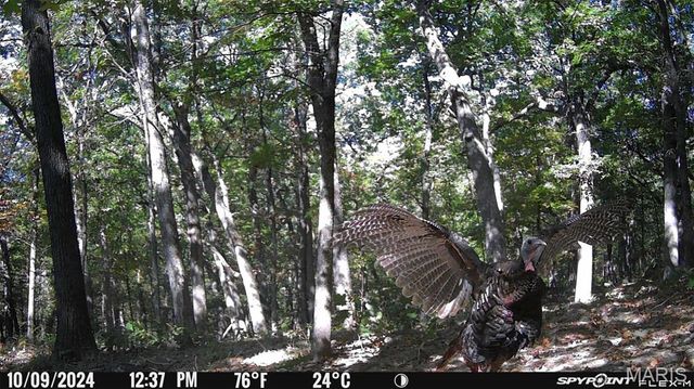 1483 Cedar Ridge Drive, Hermann, MO 65041