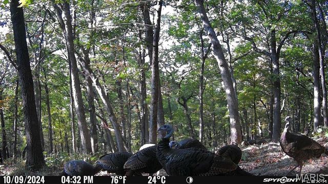 1483 Cedar Ridge Drive, Hermann, MO 65041