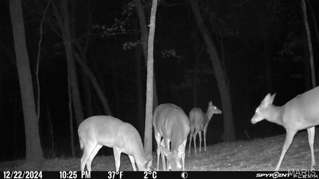 1483 Cedar Ridge Drive, Hermann, MO 65041