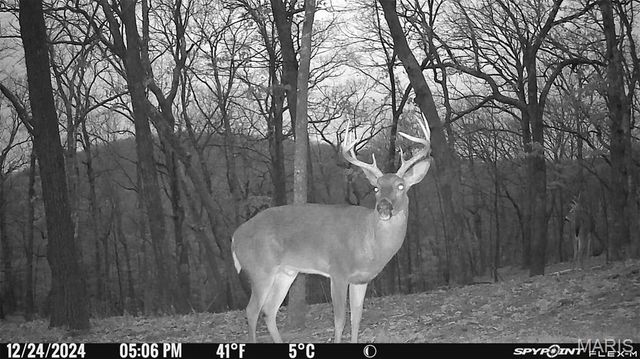 1483 Cedar Ridge Drive, Hermann, MO 65041