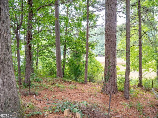 1860 Pinehurst View Drive, Grayson, GA 30017