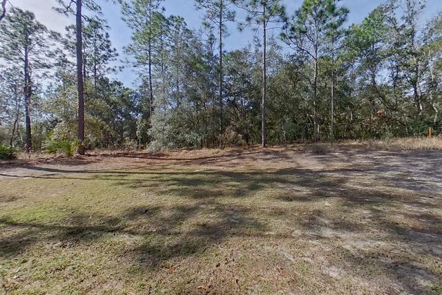 10872 N FRANTZ AVENUE, Citrus Springs, FL 34434