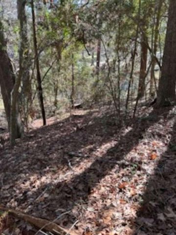 0 Sunset Drive, Livingston, TX 77351