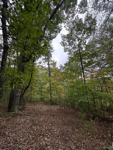 2604 Lower East Valley Road, Dunlap, TN 37327