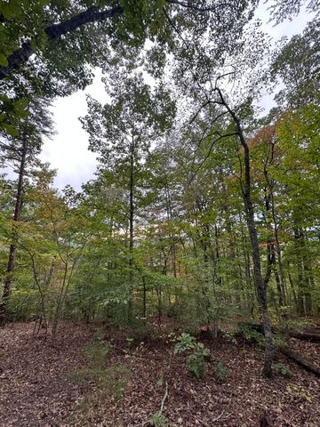 2604 Lower East Valley Road, Dunlap, TN 37327