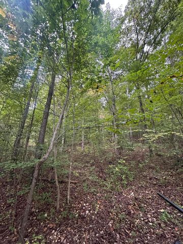 2604 Lower East Valley Road, Dunlap, TN 37327