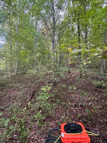 2604 Lower East Valley Road, Dunlap, TN 37327