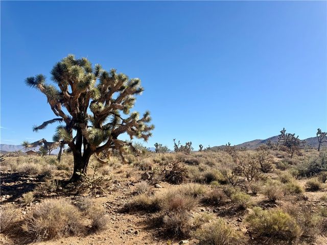 1.95 Ac 20th Street, Dolan Springs, AZ 86441