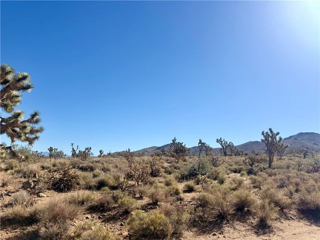 1.95 Ac 20th Street, Dolan Springs, AZ 86441