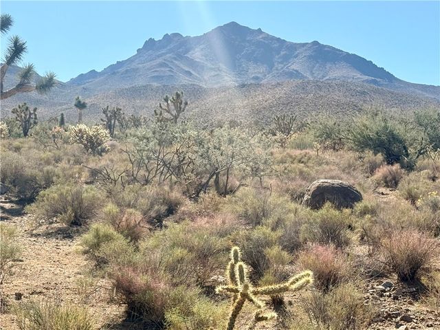 1.95 Ac 20th Street, Dolan Springs, AZ 86441