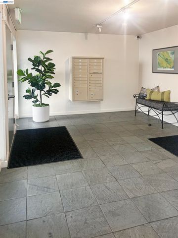 5335 Broadway Terrace 204, Oakland, CA 94618