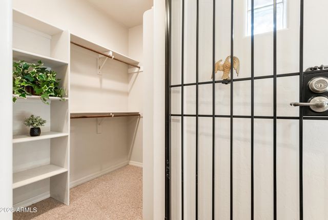 6152 E Lippizan Way, Hereford, AZ 85615