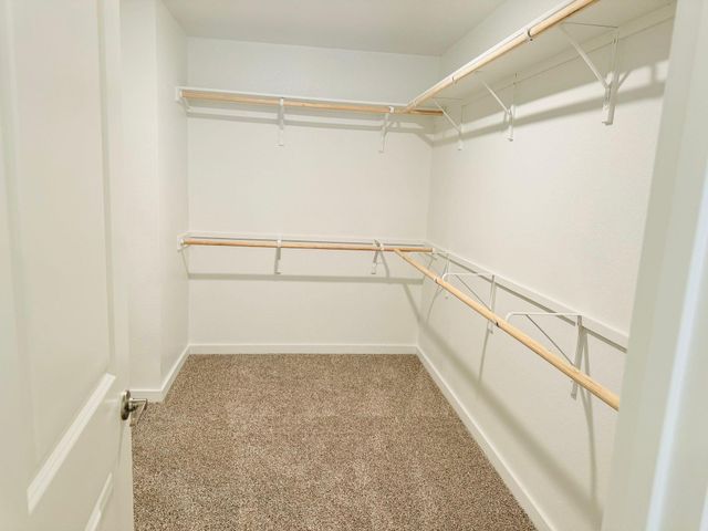 2405 Wallin Bradley DR, Round Rock, TX 78665