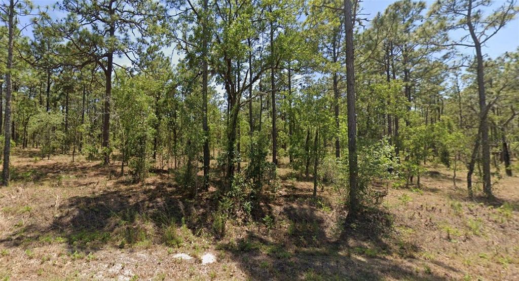 0000 NW GERANIUM AVENUE, Dunnellon, FL 34431