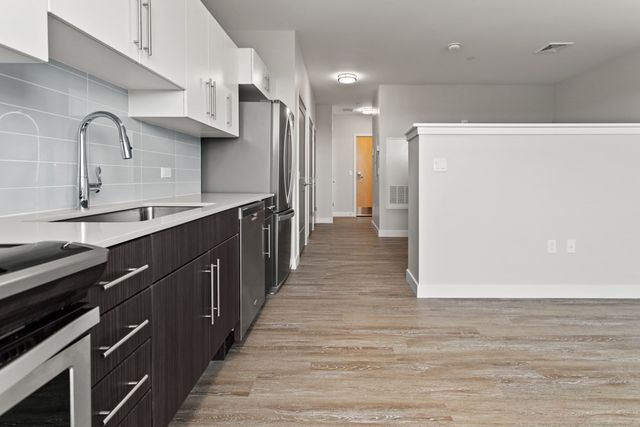 13 Shetland St 218, Boston, MA 02119