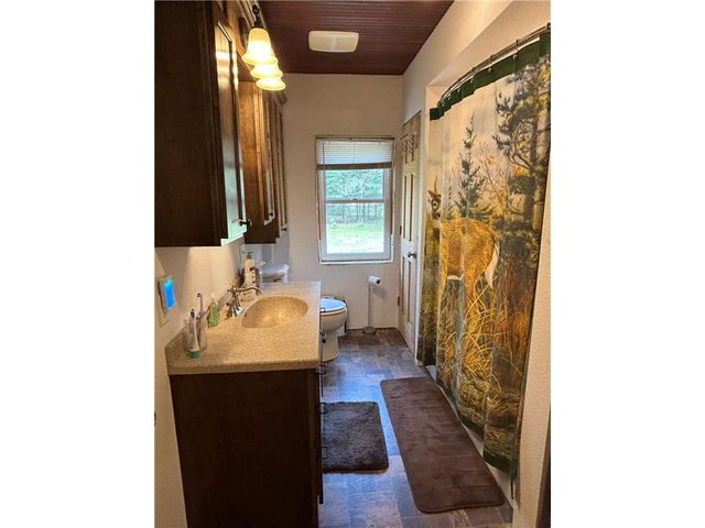 29184 Jana Road, Danbury, WI 54830