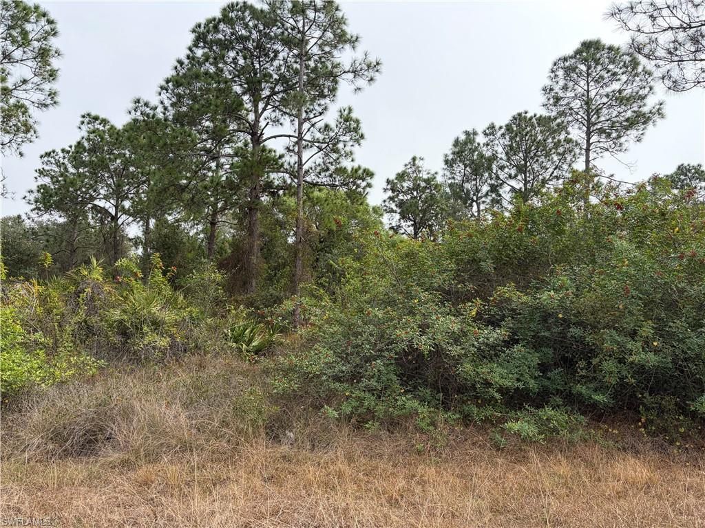 1310 Irving AVE, LEHIGH ACRES, FL 33972 — photo 3