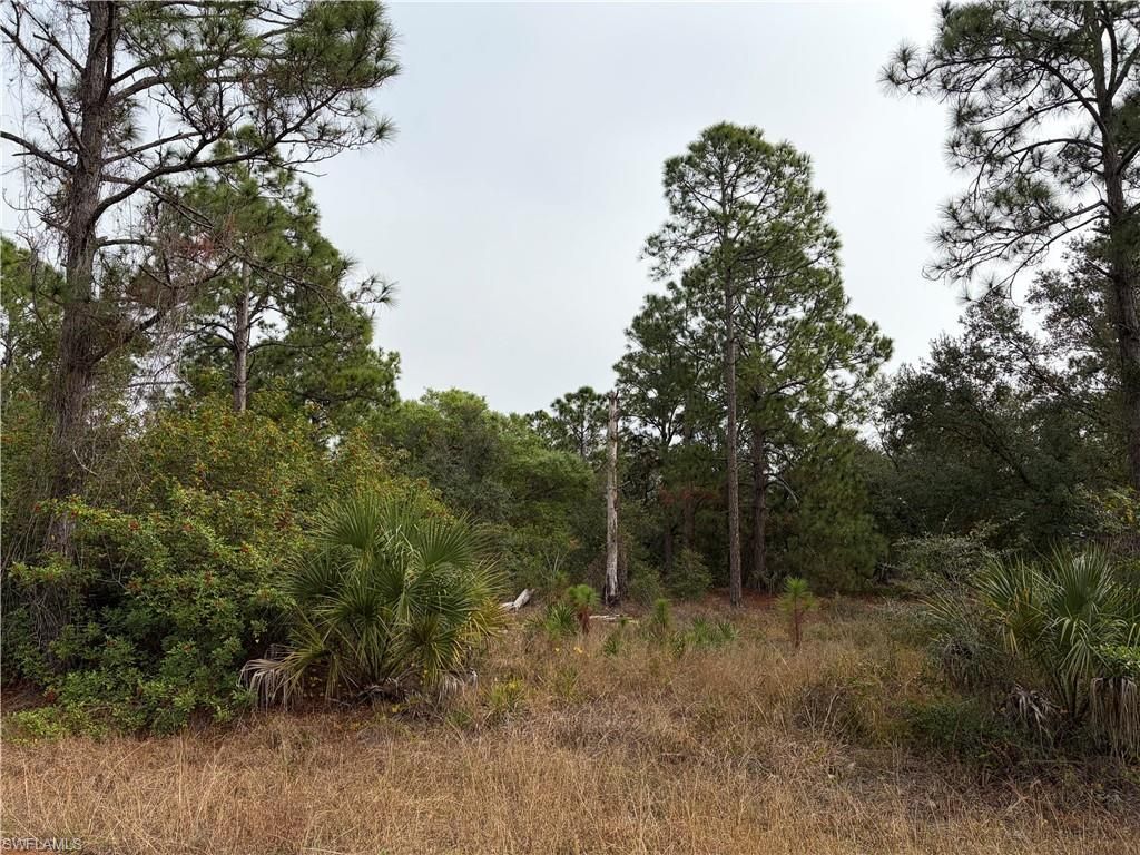 1310 Irving AVE, LEHIGH ACRES, FL 33972 — photo 4
