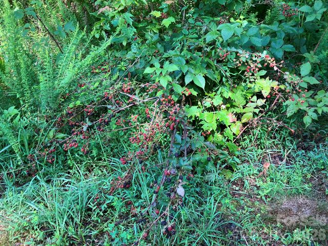 0 Grey Rock None Lots 144 & 136, Lake Lure, NC 28746