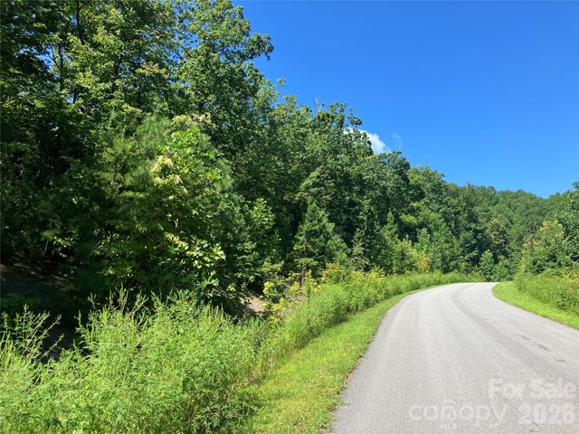 0 Grey Rock None Lots 144 & 136, Lake Lure, NC 28746