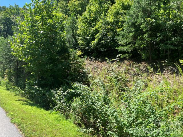 0 Grey Rock None Lots 144 & 136, Lake Lure, NC 28746