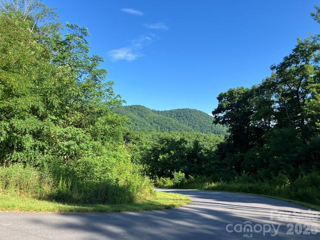 0 Grey Rock None Lots 144 & 136, Lake Lure, NC 28746