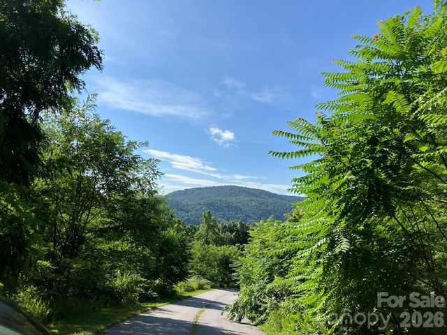 0 Grey Rock None Lots 144 & 136, Lake Lure, NC 28746