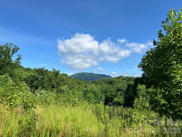 0 Grey Rock None Lots 144 & 136, Lake Lure, NC 28746