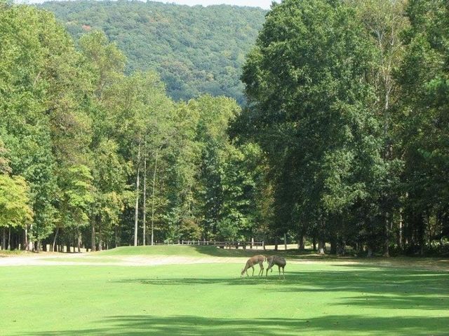 0 Shadowick Mountain Road, Jasper, GA 30143