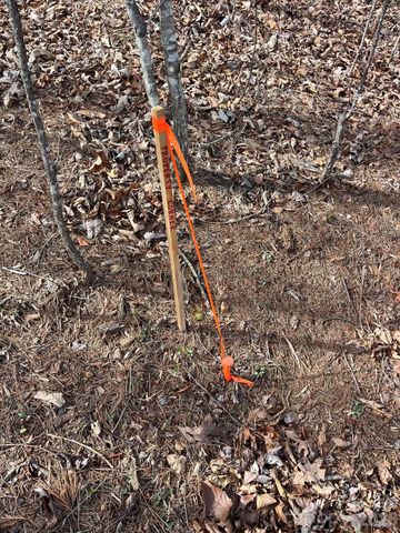 165 Katies Way, Nebo, NC 28761