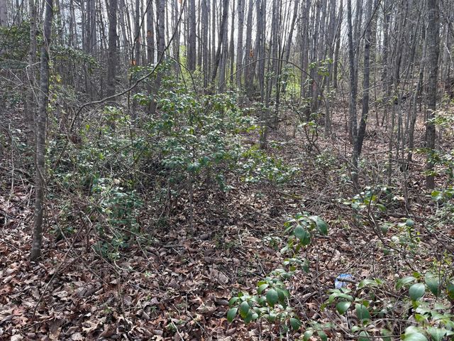 165 Katies Way, Nebo, NC 28761