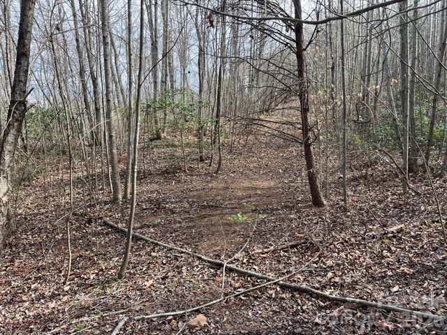 165 Katies Way, Nebo, NC 28761