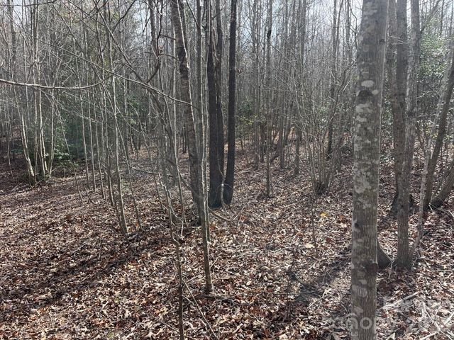 165 Katies Way, Nebo, NC 28761