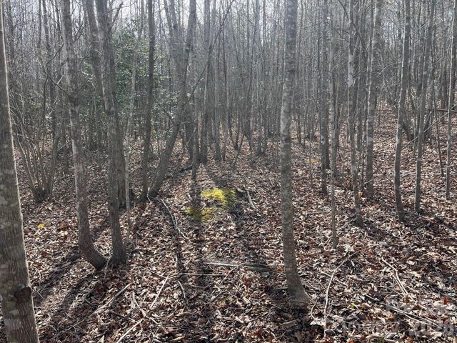 165 Katies Way, Nebo, NC 28761