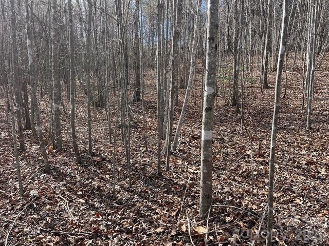 165 Katies Way, Nebo, NC 28761