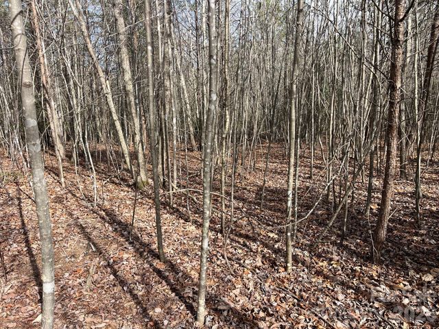 165 Katies Way, Nebo, NC 28761