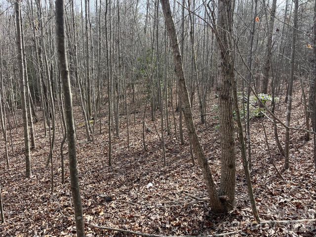 165 Katies Way, Nebo, NC 28761