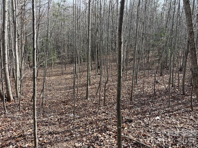 165 Katies Way, Nebo, NC 28761