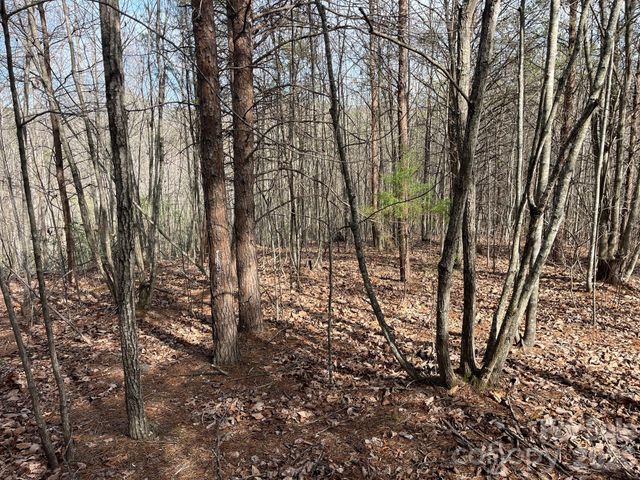 165 Katies Way, Nebo, NC 28761