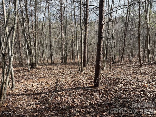 165 Katies Way, Nebo, NC 28761