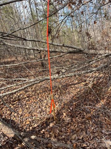 165 Katies Way, Nebo, NC 28761