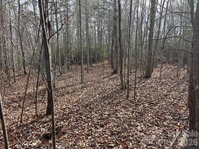 165 Katies Way, Nebo, NC 28761