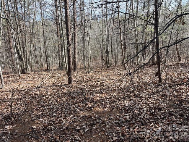 165 Katies Way, Nebo, NC 28761