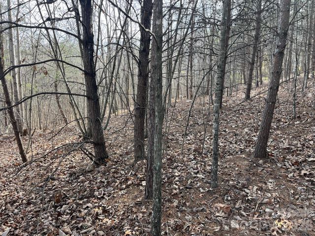 165 Katies Way, Nebo, NC 28761