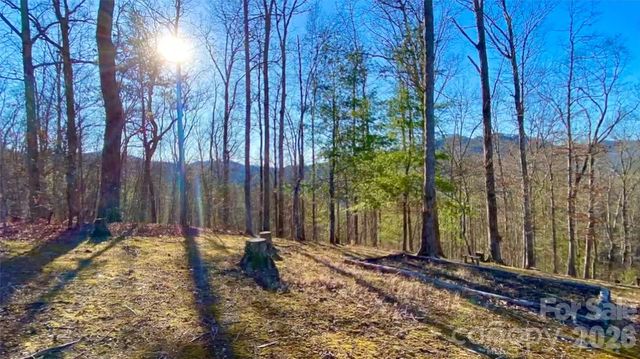 288 Rebel Drive, Hot Springs, NC 28743