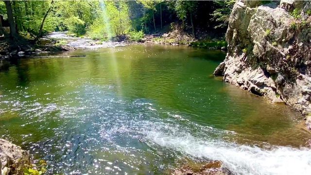 288 Rebel Drive, Hot Springs, NC 28743