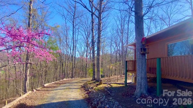 288 Rebel Drive, Hot Springs, NC 28743