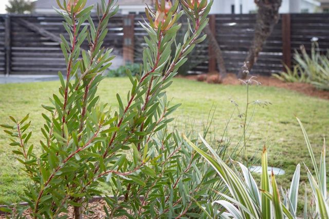 1028 Daisy Ave, Carlsbad, CA 92011