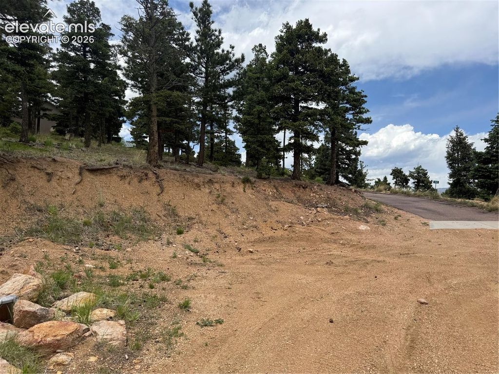 254 Grand Horizon View, Manitou Springs, CO 80829 — photo 5